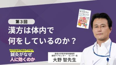 【希少品】スペシャリスト育成プログラム①②セット【鍼灸】 刹那塾 SETSUNA JYUKU 鍼灸師向け動画配信サイト